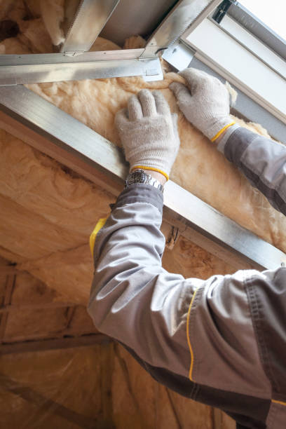 Professional Insulation Contractor in Huntland, TN