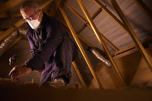 Best Cellulose Insulation in Huntland, TN